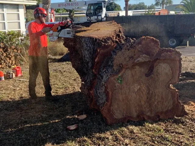 Stump grinder working below grade near landscaping